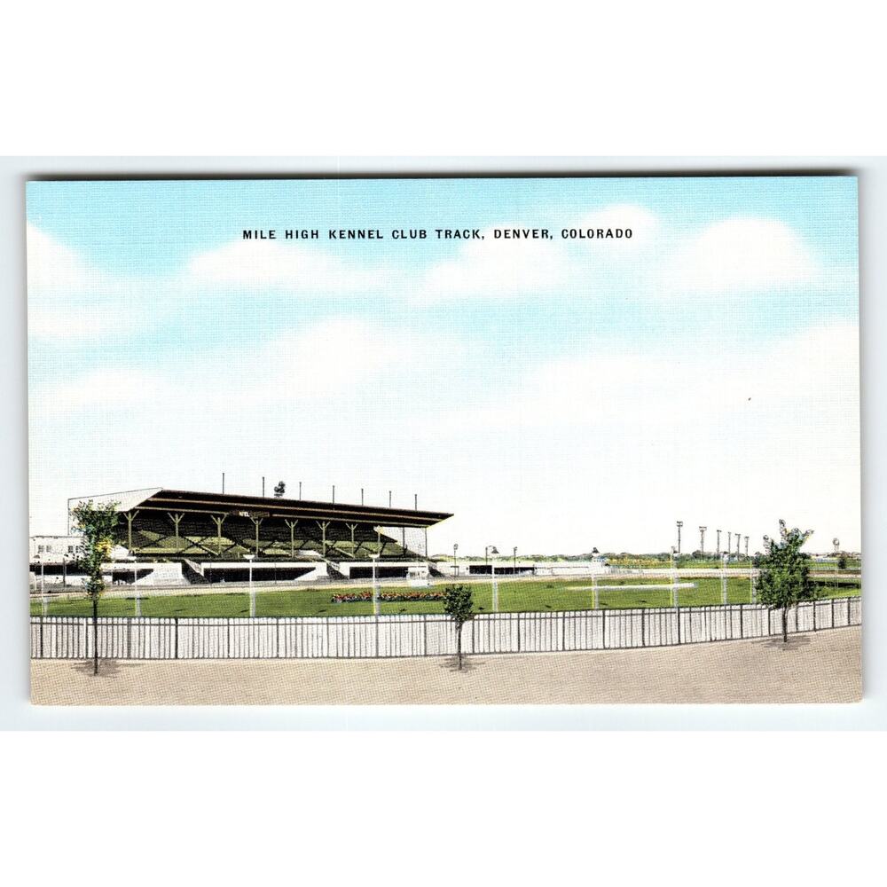 Vintage Linen Mile High Kennel Club Track Denver Postcard 1930s